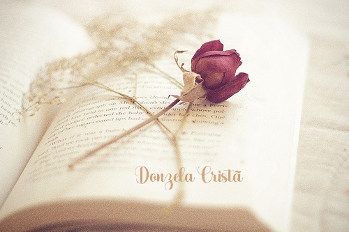 DonzelaCristã